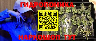 бошки Кулебаки