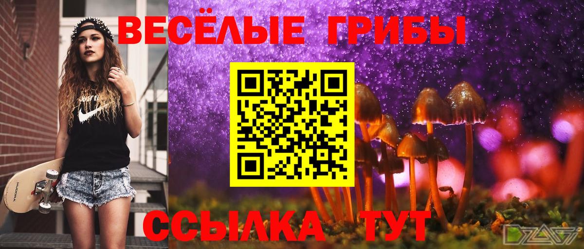 Галлюциногенные грибы ЛСД Донской