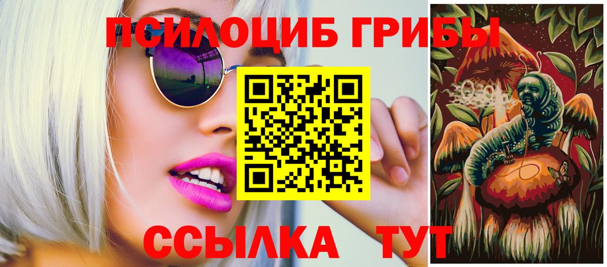 Псилоцибиновые грибы Psilocybe  Вход с VPN  Донской 